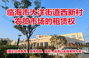 临海市大洋街道西新村农贸市场的租赁权